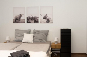 City Apartment am Zoo & Stadtkern